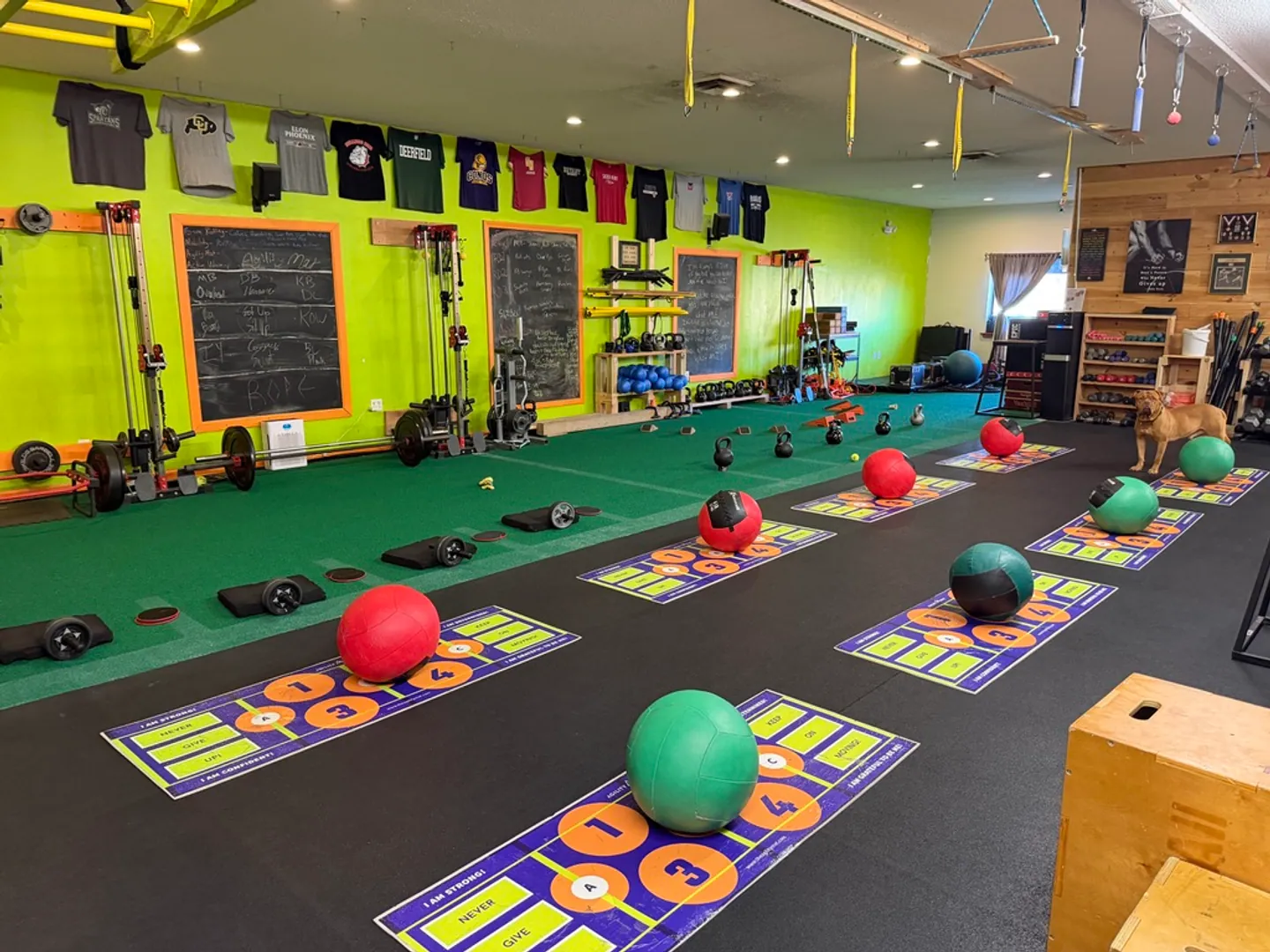 The agility mats laid out on the floor with medicine balls, ready for class
