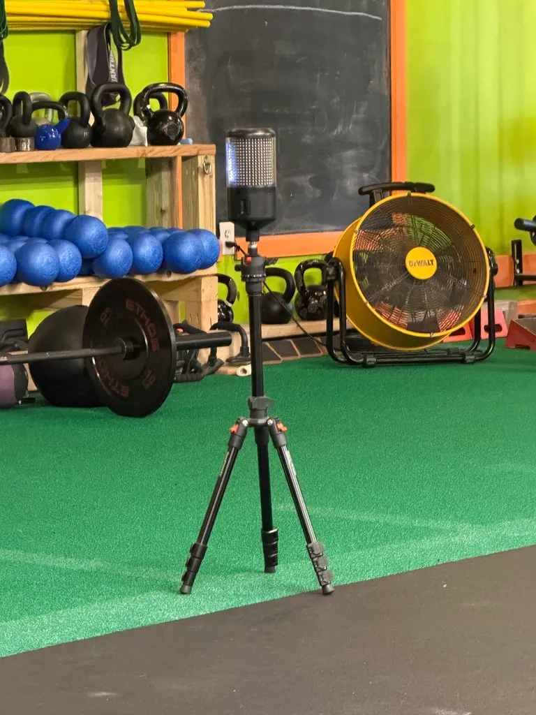 A rack of kettlebells and a loaded barbell beside the lime wall